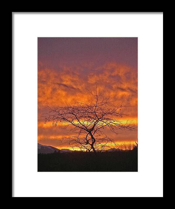 Sunset Sky Clouds Tree Sky Mountains Port Townsend Washington Olympic Framed Print featuring the photograph Last Dance by Laurie Stewart