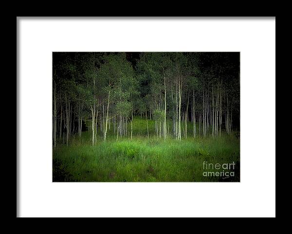 Tree Framed Print featuring the photograph Last Night's Dream by Madeline Ellis
