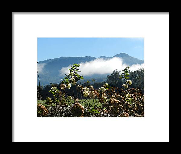Ga Framed Print featuring the photograph Late Blooms by Deborah Ferree