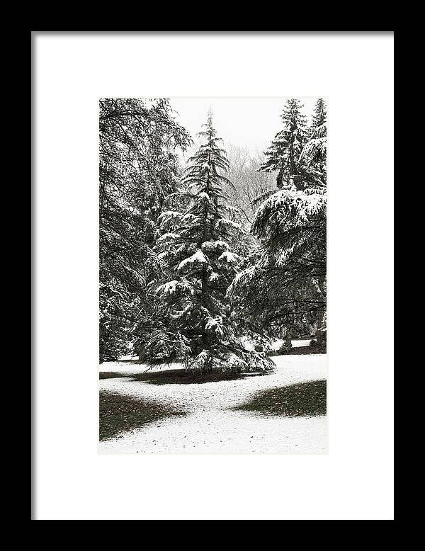 Aboretum Framed Print featuring the photograph Late Season Snow At The Park by Gary Slawsky