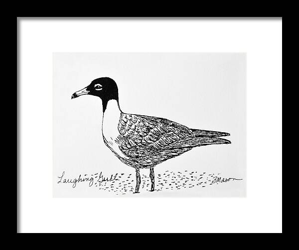 Birds Framed Print featuring the drawing Laughing Gull by Becky Mason