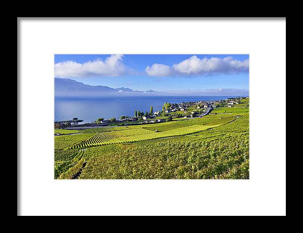 Scenics Framed Print featuring the photograph Lavaux Vineyards, Switzerland by Comezora