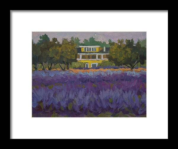 Lavender Framed Print featuring the painting Lavender Farm on Vashon Island by Diane McClary