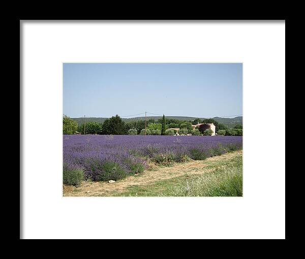 Lavender Framed Print featuring the photograph Lavender Farm by Pema Hou