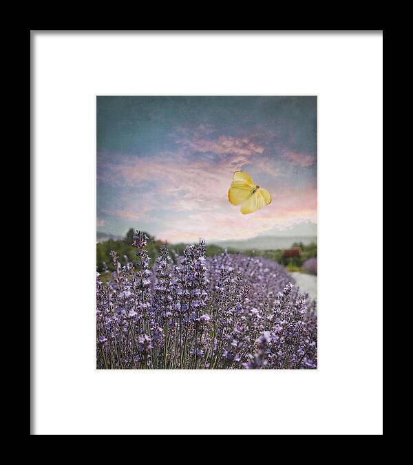 Blue And Pink Sunset Framed Print featuring the photograph Lavender Field Pink and Blue Sunset and Yellow Butterfly by Brooke T Ryan