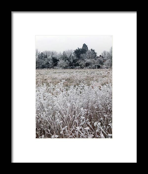 Frosty Landsape Framed Print featuring the photograph Layer Cake by Laura Hol Art