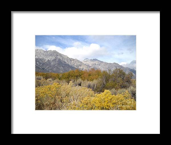 Sky Framed Print featuring the photograph Layered Color by Marilyn Diaz