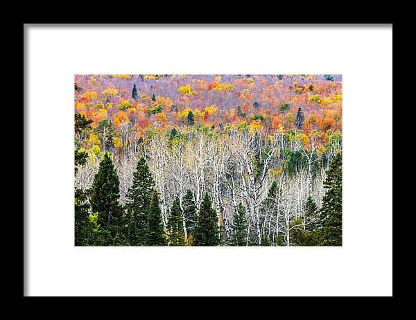 Layers Of Autumn Framed Print featuring the photograph Layers of Autumn by Mary Amerman