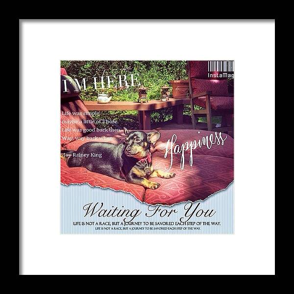 Petstagram Framed Print featuring the photograph Lazy Days Of Summer ... Pepper Pup by Anna Porter