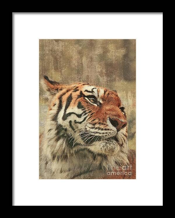 Tiger Framed Print featuring the photograph Le Reveur by Aimelle Ml