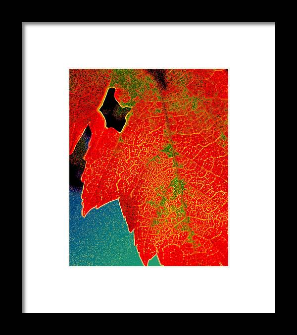 Leaf Framed Print featuring the photograph Leaf Pop by Kathy Bassett