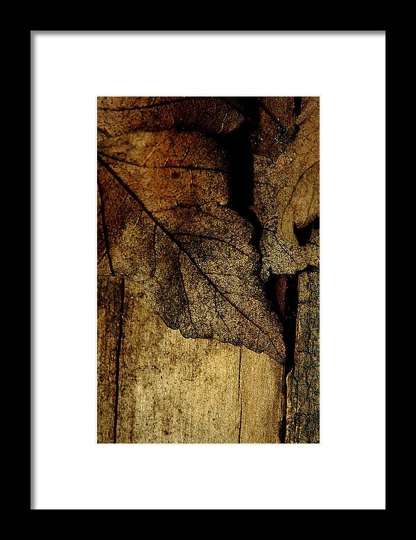 Leaf Framed Print featuring the photograph Leafwood by David Weeks