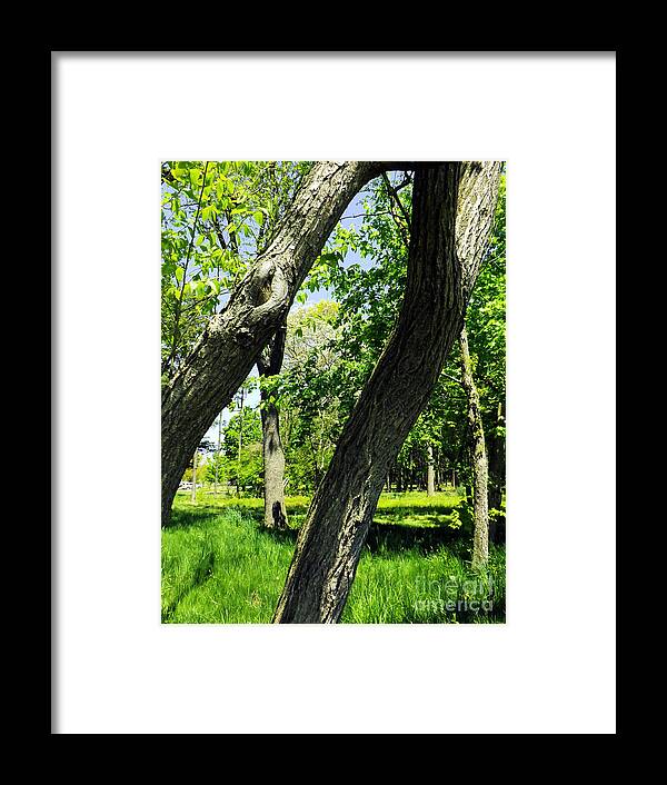 Landscape Framed Print featuring the photograph Lean On Me by Robyn King
