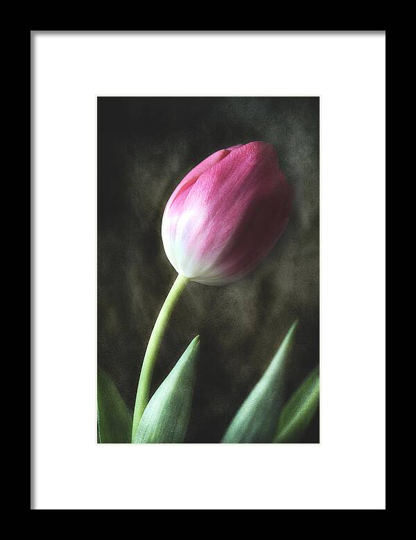 Pink Tulip Framed Print featuring the photograph Leaning Towards Spring by Michael Eingle