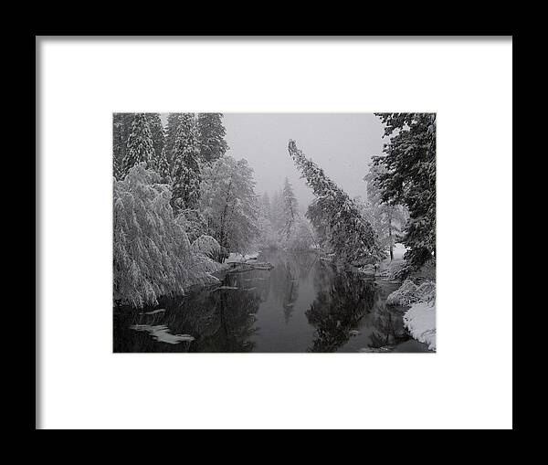 Tree Framed Print featuring the photograph Leaning Tree by Bill Gallagher