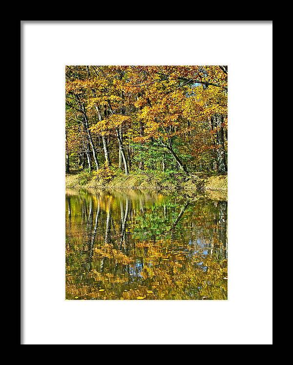 Autumn Framed Print featuring the photograph Leaning Trees by Frozen in Time Fine Art Photography