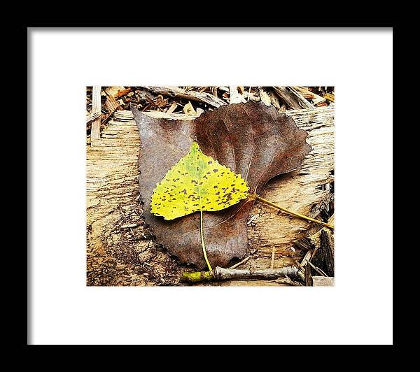 Leaves Framed Print featuring the photograph Leaves by Inspired Arts