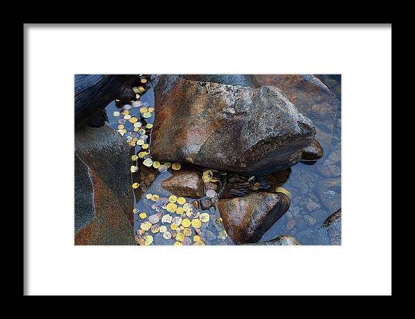 Autumn Colors Photographs Framed Print featuring the photograph Leaves in a Stream by Jim Garrison