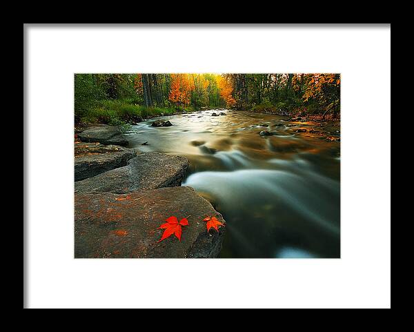 Panorama Framed Print featuring the photograph Leaves by Kadek Susanto