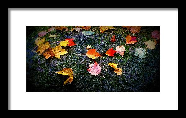 Fine Art Framed Print featuring the photograph Leaves on Rock by Rodney Lee Williams