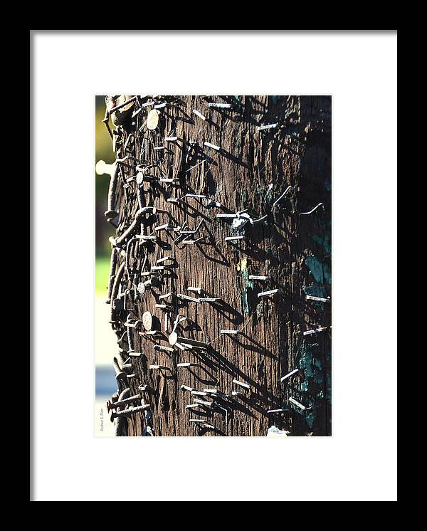 Telephone Pole Framed Print featuring the photograph Remnants of Free Speech by Andrea Platt