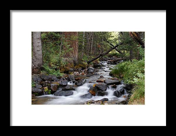 Creek Framed Print featuring the photograph Lehman Creek in Great Basin National Park by Rick Pisio