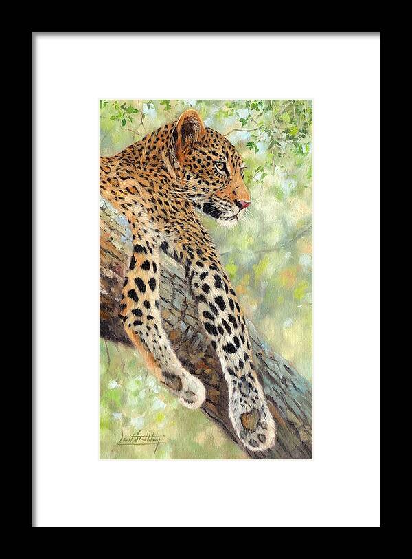Leopard Framed Print featuring the painting Leopard in Tree by David Stribbling