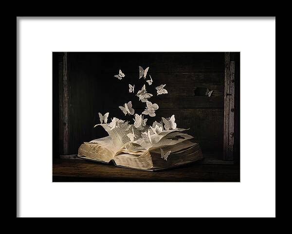Creative Edit Framed Print featuring the photograph Lepidopterology by Heather Bonadio