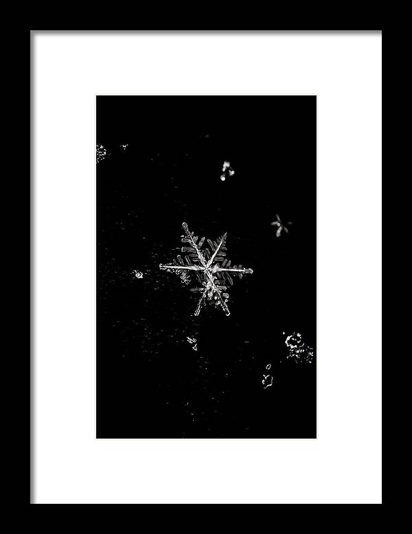 Snowflake Framed Print featuring the photograph Let it Snow by Sara Frank
