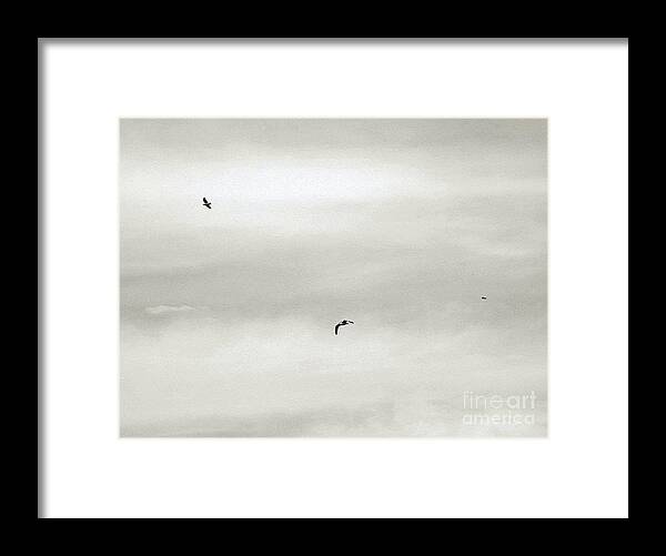 Bird Framed Print featuring the photograph Let Your Spirit Soar by Robyn King