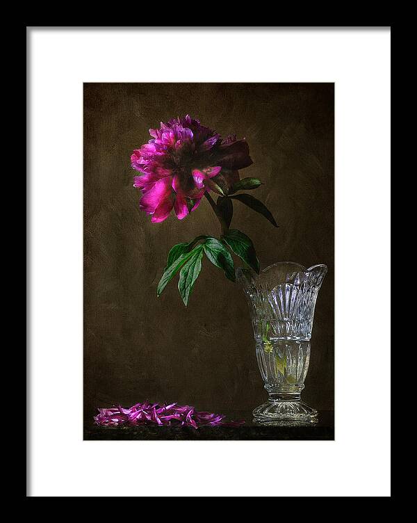 Peony Framed Print featuring the photograph Letting Go by Carol Eade