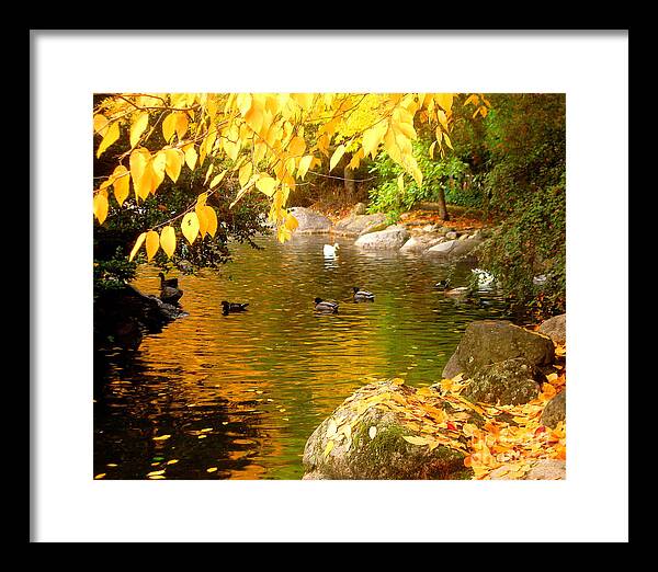 Serenity Scenes Photography Landscape Scenic Pacific Northwest Forest Woods Trees Shasta Eone Oregon Nature Lithia Park Ashland Fall Autumn Color Leaves Wild Duck Pond Water Rocks Framed Print featuring the painting Li12.15 by Shasta Eone