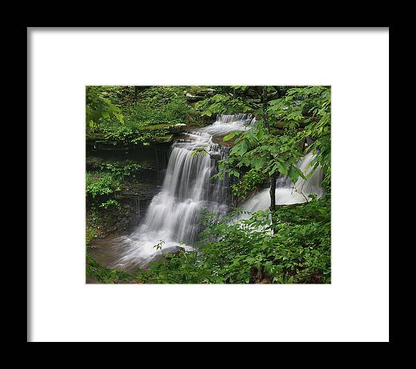 Tim Fitzharris Framed Print featuring the photograph Lichen Falls Ozark National Forest by Tim Fitzharris