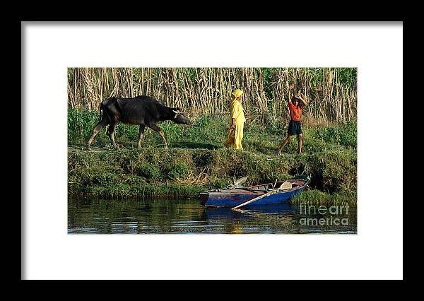 Life Framed Print featuring the photograph Life Along the Nile 3 by Vivian Christopher