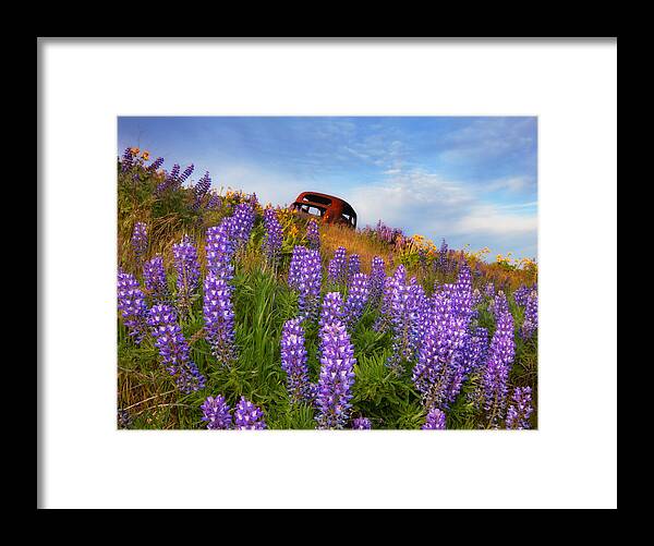 Life Framed Print featuring the photograph Life and Death by Darren White