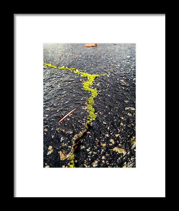 Moss Framed Print featuring the photograph Life between the cracks by Mike Lee