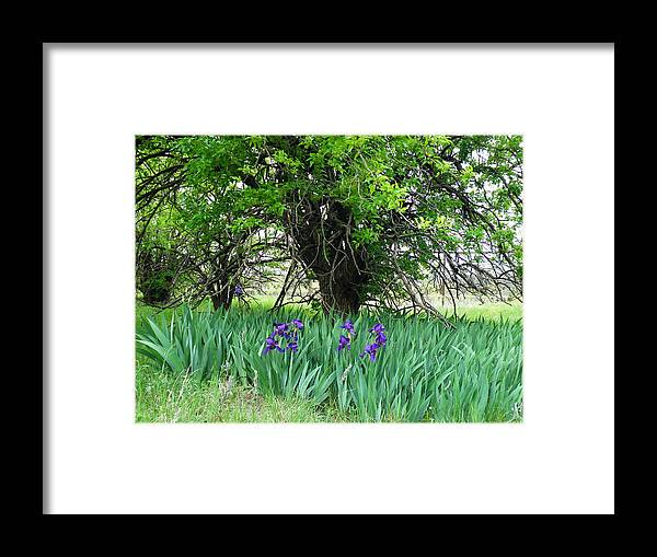 Iris Framed Print featuring the photograph Life Endures by The GYPSY and Mad Hatter