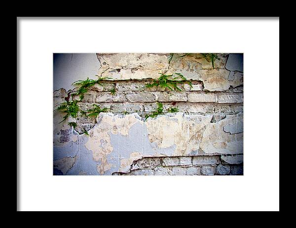 Wall Framed Print featuring the photograph Life Finds A Way by Her Arts Desire