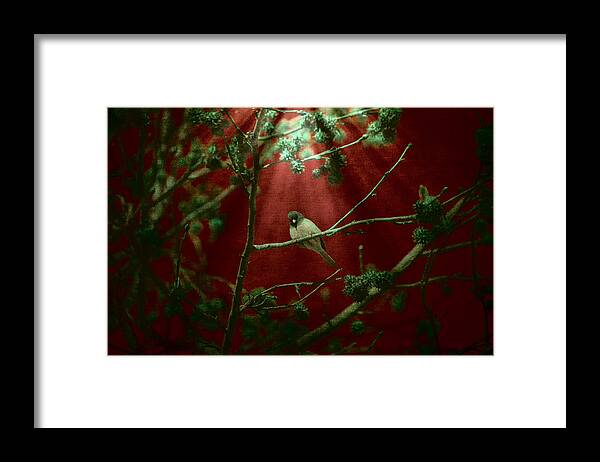 Nature Photography Framed Print featuring the photograph Life is a Song by Bonnie Bruno