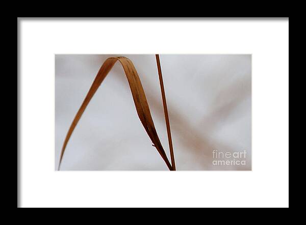 Abstract Framed Print featuring the photograph Life's Journey by Linda Shafer