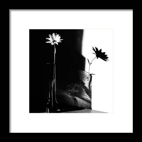Still Life Framed Print featuring the photograph Light And Shadow by Susanne Wolf