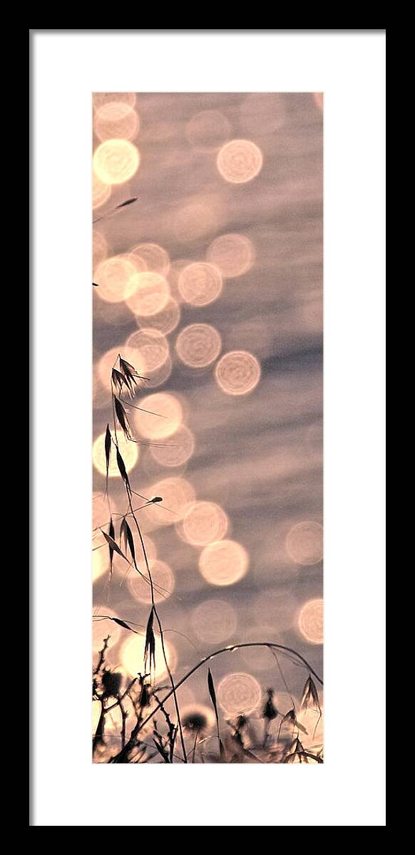Light Framed Print featuring the photograph Light bubbles and grass 3 by Jocelyn Kahawai