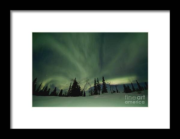 Dawson City Framed Print featuring the photograph Light Dancers by Priska Wettstein