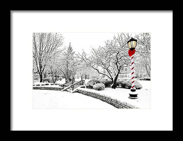 Winter Framed Print featuring the photograph Light in Winter by Patty Colabuono