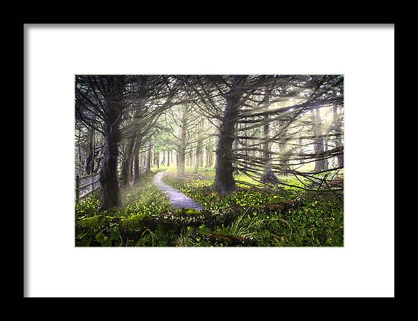 Fall Framed Print featuring the photograph Light on the Trail by Debra and Dave Vanderlaan