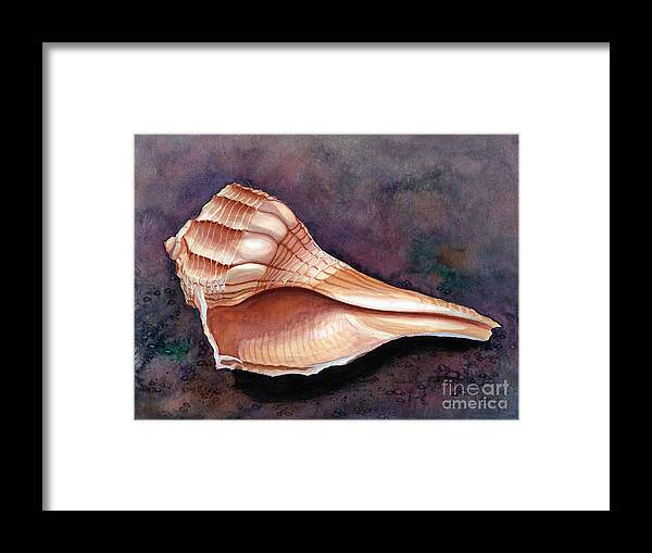 Shell Framed Print featuring the painting Lightning Whelk by Barbara Jewell