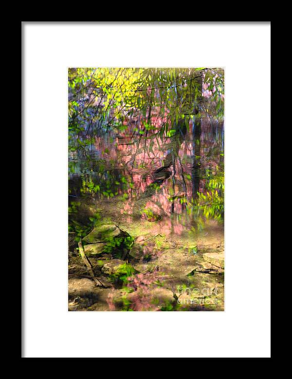 Autumn Framed Print featuring the photograph Like A Painting by Tamara Becker