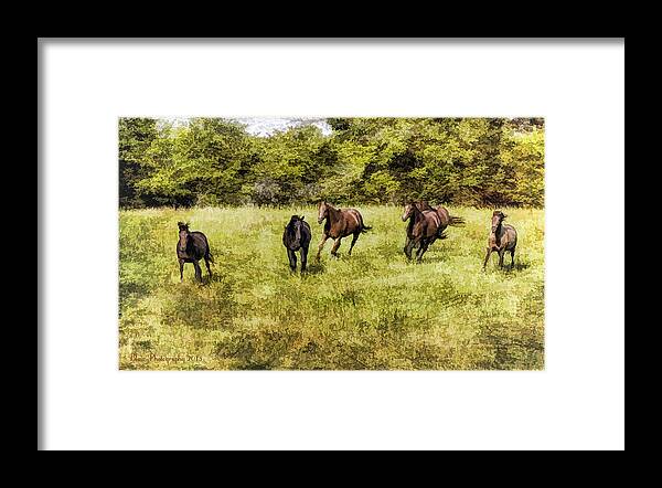 Horse Framed Print featuring the painting Like The Wind by Linda Blair