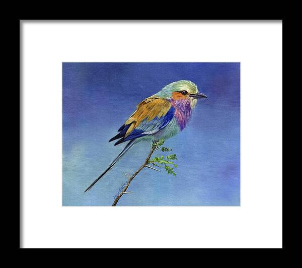Lilacbreasted Roller Framed Print featuring the painting Lilacbreasted Roller by David Stribbling