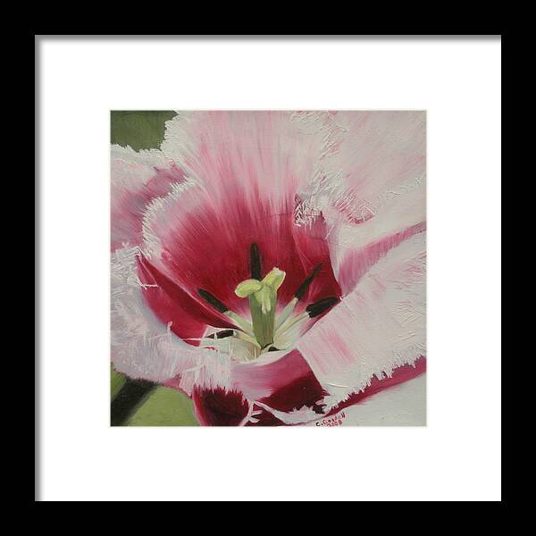 Tulip Framed Print featuring the painting Lilicaea Tulipa by Claudia Goodell